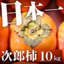 【ふるさと納税】≪先行予約≫ 日本一 の 次郎柿 ≪選べる内容量≫ 柿 かき JA 豊橋 簡易包装 訳あり 甘柿 果物 フルーツ 10月 11月 ビタミンC 腸活 愛知県 豊橋市