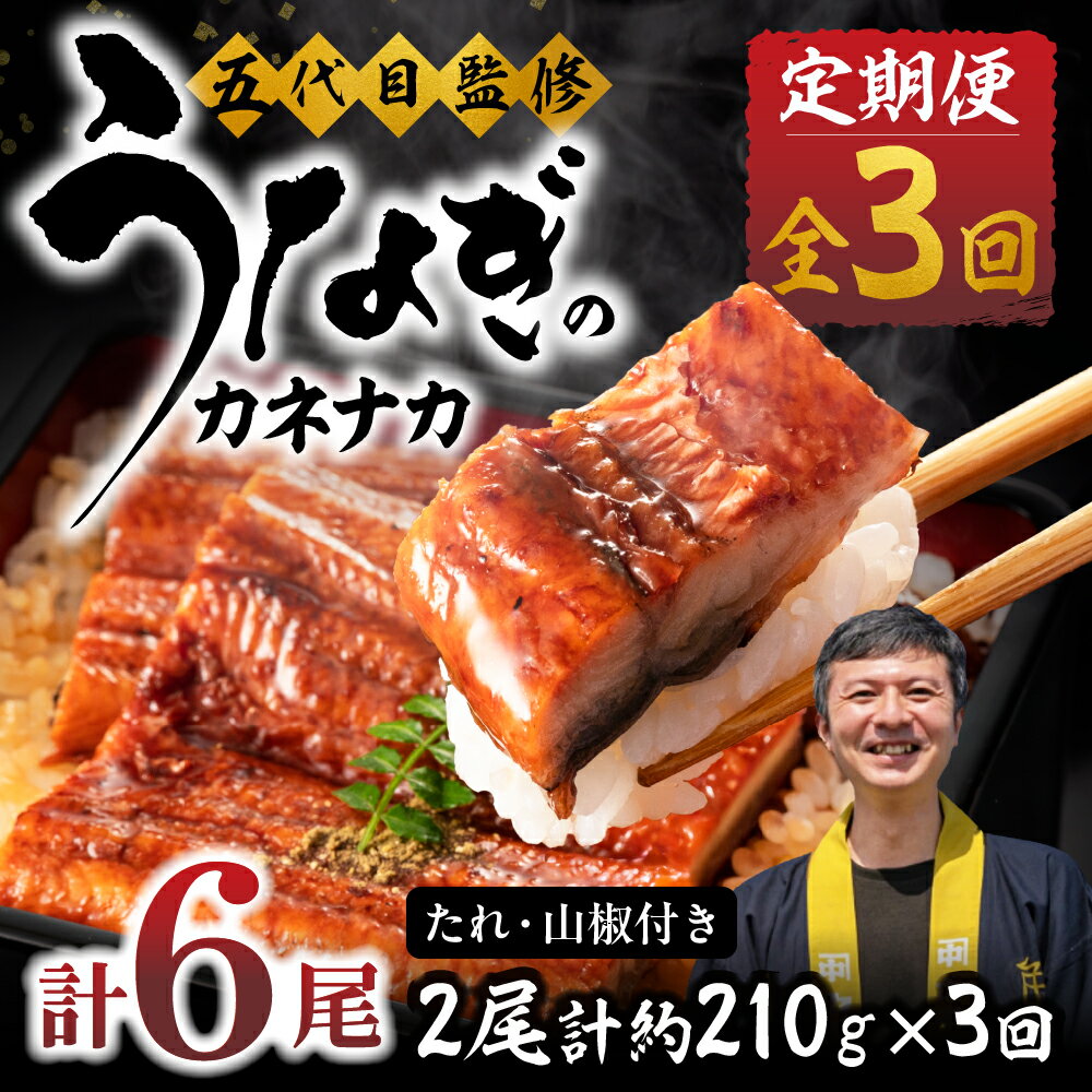 ≪定期便・全 3回≫国産若うなぎ 2尾セット|うなぎ 定期便 鰻 国産 国産うなぎ タレ付 ウナギ 蒲焼 かば焼き 丑の日 うな重 うな丼 ひつまぶし 冷凍 誕生日 お祝い 内祝い お中元 お歳暮 3回お届け 3ヶ月 3回 愛知県 豊橋市