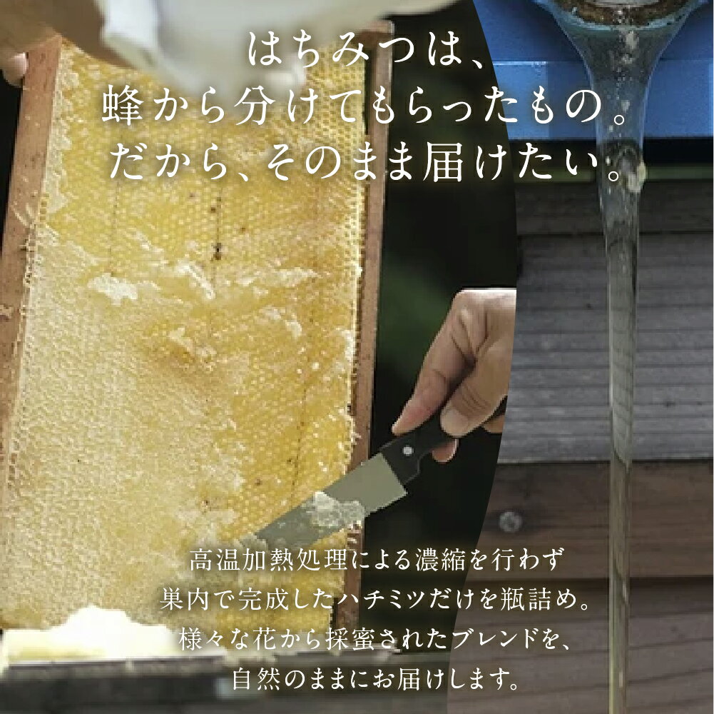 アルマテラ オーガニック アガベジャム ストロベリー 140g 6個セット【送料無料】【有機JAS認定】