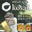 【ふるさと納税】※数量限定※ 豊橋蜂蜜【kosaji】春はちみつ&夏はちみつ 食べ比べセット 150g + 100g 瓶入り セット 蜂蜜 はちみつ 国産 常温...