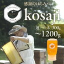 【ふるさと納税】豊橋蜂蜜【kosaji】春はちみつ ~1200g ≪選べる 300g / 600g / 1.2kg≫ボトル 蜂蜜 はちみつ 国産 常温 はちみつ...