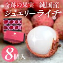 【ふるさと納税】≪先行予約 2026年発送≫ 愛知県産 生ライチ 8個 希少 数量 限定 国産 産地直送 国産ライチ ライチ レイシ 果物 フルーツ 旬 デザー...