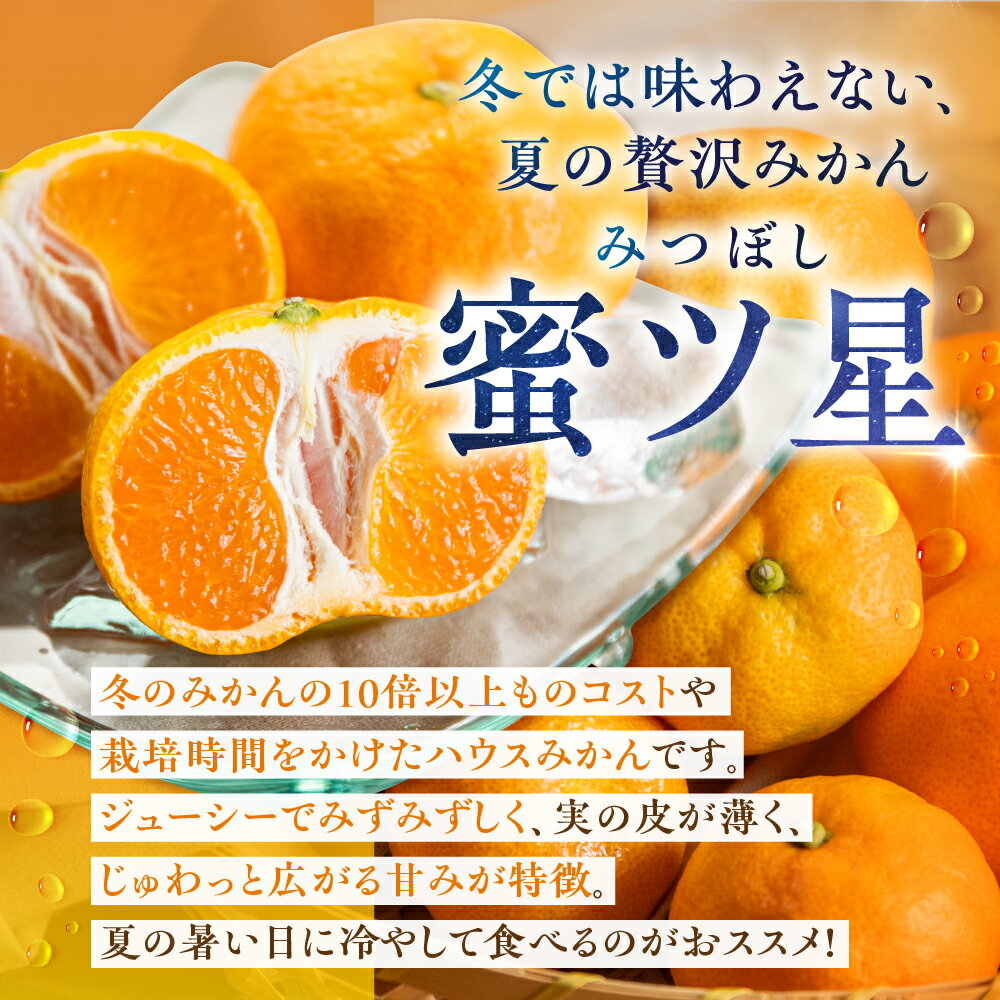 【ふるさと納税】≪夏が旬！≫ 超濃厚 ハウスみかん『蜜ツ星』 秀品 800g〜2kg Mサイズ (8玉〜21玉) みかん 高級 高糖度 ギフト 贅沢 蜜柑 ミカン 柑橘 フルーツ 数量限定 季節限定 濃厚 化粧箱入り 詰め合わせ 豊橋