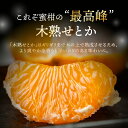 愛知県豊橋市の画像3