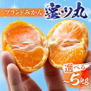 【ふるさと納税】≪先行予約≫こだわり蜜柑 蜜ツ丸【選べる 約1kg ~ 5kg】 みかん ミカン mikan 柑橘 柑橘類 フルーツ 果物 詰め合わせ 贈答 秀...