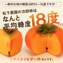 愛知県豊橋市の画像3