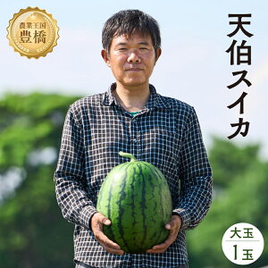 【ふるさと納税】鈴木さんの 『天伯スイカ』 大玉 1玉 糖度11度以上 2L 以上(7kg 以上)6月 7月 くだもの フルーツ すいか スイカ 季節 果物 旬 甘い スイーツ 西瓜 高級 希少 特別 美味しい こだわり 楽天限定 道の駅とよはし 先行予約 夏 愛知県 豊橋市 15000円