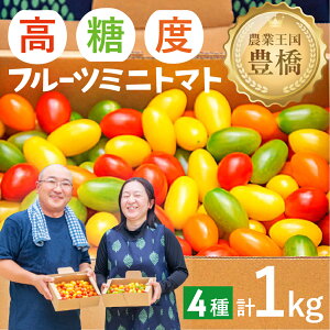 【ふるさと納税】MAKINO トマト ミックス 4種 高糖度 こだわり トマト とまと tomato 道の駅とよはし 愛知県 豊橋市 送料無料 10000円