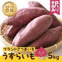【ふるさと納税】《先行予約》訳あり さつまいも 5kg 土付き 熟成 ブランド 芋 うずらいも 高糖度 甘い 焼き芋 スイートポテト などに 簡易包装 採れたて 産地直送 道の駅とよはし 愛知県 豊橋市 送料無料 10000円