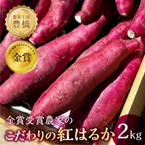 【ふるさと納税】《先行予約》金賞受賞 紅はるか 2kg 熟成 まるきん 伊藤農園 サツマイモ さつまいも 芋 高糖度 甘い 焼き芋 スイートポテト などに 採れたて 産地直送 道の駅とよはし 愛知県 豊橋市 送料無料 10000円