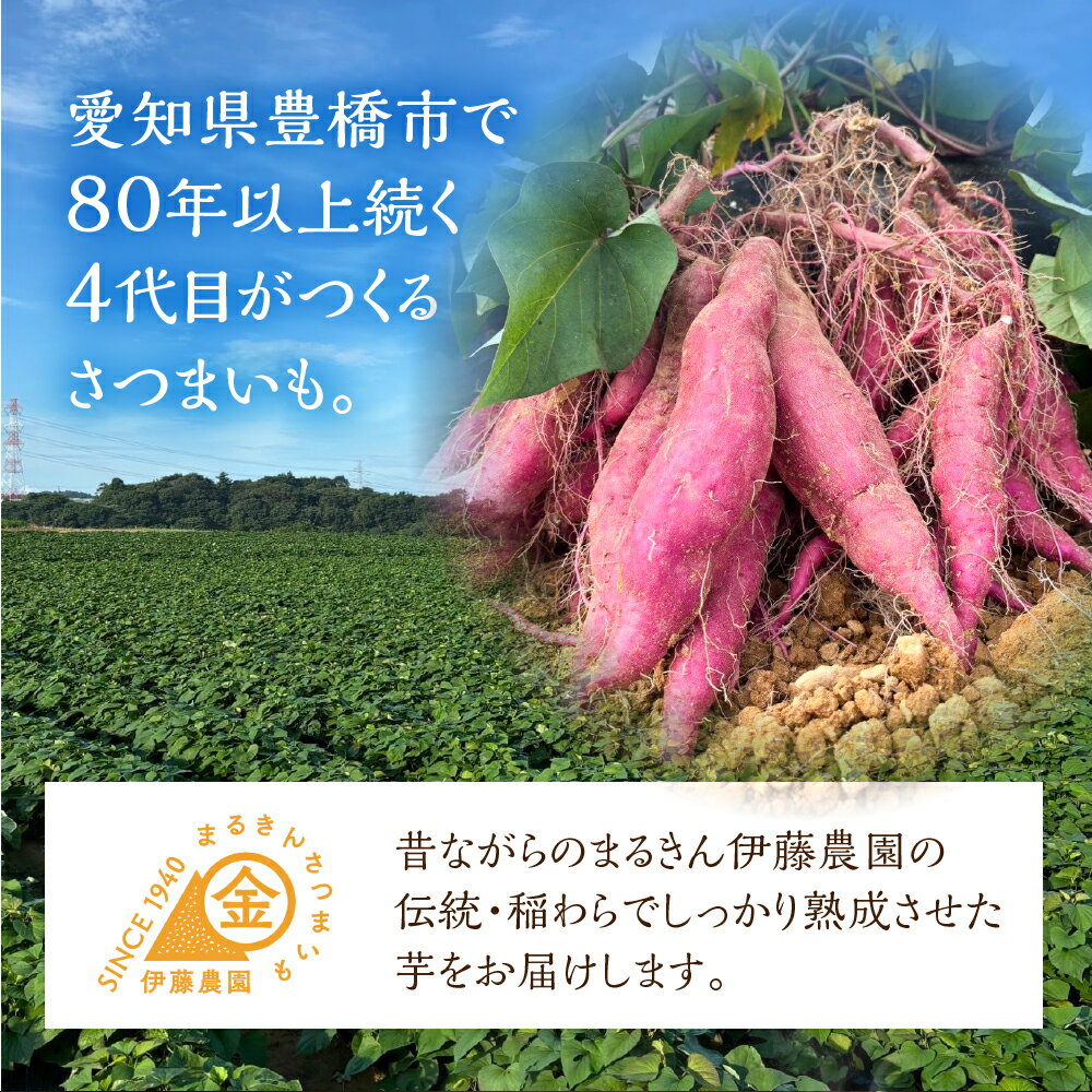 【ふるさと納税】金賞受賞 紅はるか 5kg 熟成 まるきん 伊藤農園 サツマイモ さつまいも 芋 高糖度 甘い 焼き芋 スイートポテト などに 採れたて 産地直送 道の駅とよはし 愛知県 豊橋市 送料無料