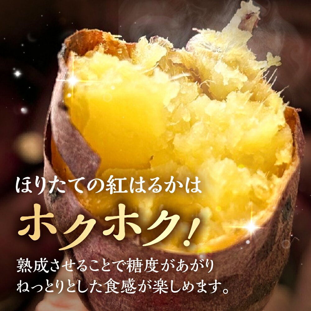 【ふるさと納税】金賞受賞 紅はるか 5kg 熟成 まるきん 伊藤農園 サツマイモ さつまいも 芋 高糖度 甘い 焼き芋 スイートポテト などに 採れたて 産地直送 道の駅とよはし 愛知県 豊橋市 送料無料