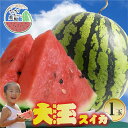 【ふるさと納税】≪先行予約 2026年発送≫ ながちゃん農園の 大玉スイカ 1玉|すいか 西瓜 スイカ くだもの フルーツ 果物 旬 夏 スイーツ 1万円 10000円 愛知県 豊橋市