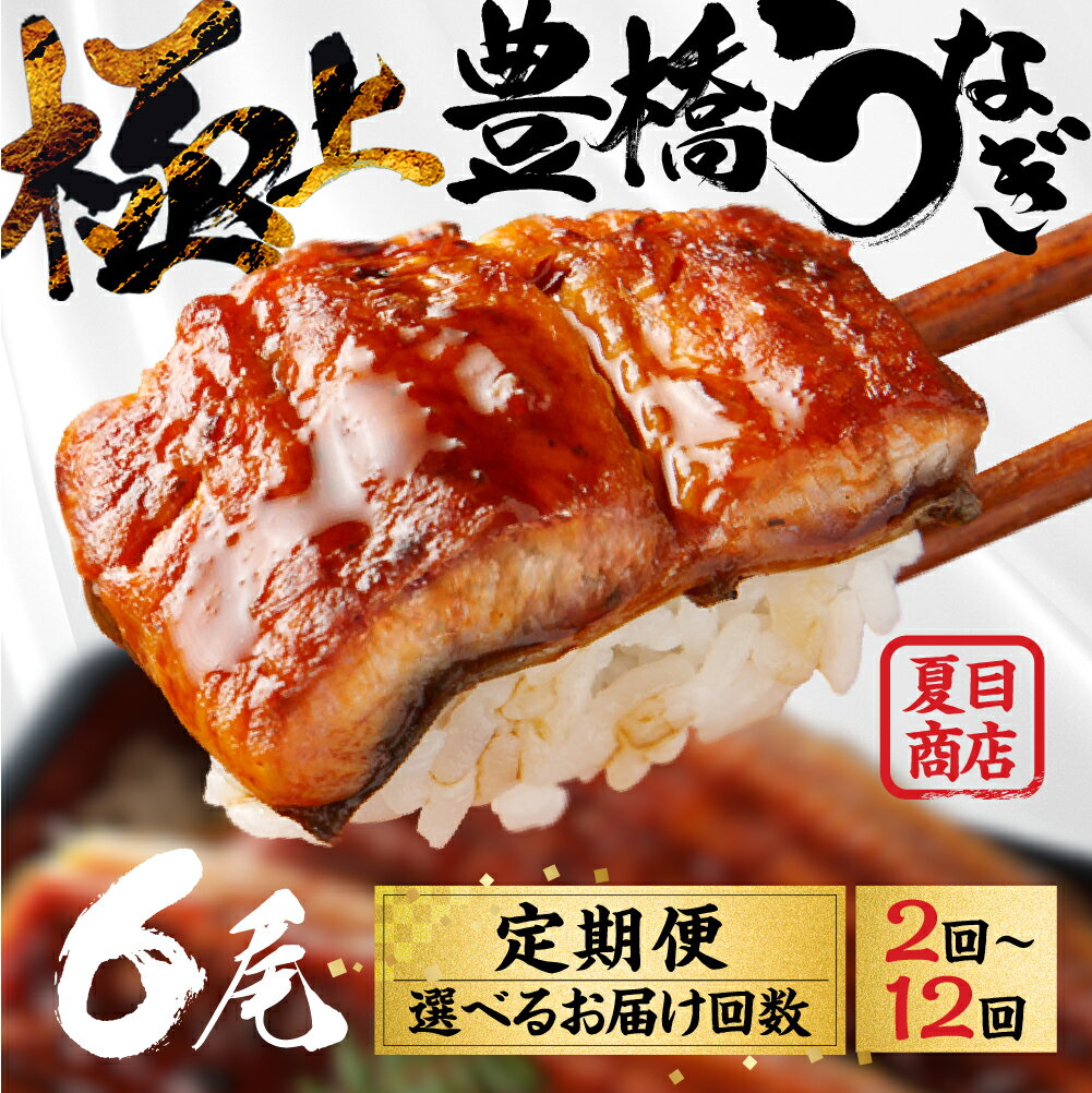 【ふるさと納税】豊橋うなぎ 蒲焼 6尾 お届け回数 選べる 定期便 2回 4回 6回 12回...