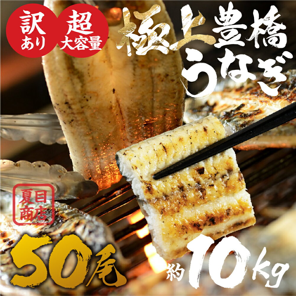 【ふるさと納税】 極上 豊橋うなぎ 白焼 50尾 約10kg 厳選 国産 鰻 簡易包装 訳あり ウナギ うなぎ 鰻 白焼き 夏目商店 ギフト 配布 最高級 ひつ...