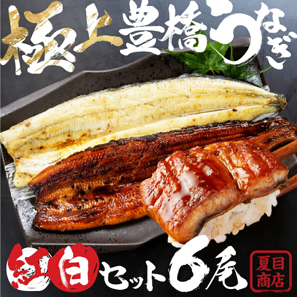 【ふるさと納税】 豊橋うなぎ 紅白セット 6尾 夏目商店 国産 国産うなぎ 蒲焼 白焼...