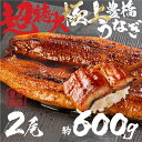 【ふるさと納税】希少 極上 豊橋うなぎ 特大 2尾 ~600g蒲焼 厳選 国産 鰻 簡易包装 訳あり ウナギ うなぎ 鰻 蒲焼 夏目商店 ギフト 配布 最高級 ...