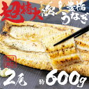【ふるさと納税】希少 極上 豊橋うなぎ 特大 2尾 ~600g白焼 厳選 国産 鰻 簡易包装 訳あり ウナギ うなぎ 鰻 白焼 夏目商店 ギフト 配布 最高級 ...
