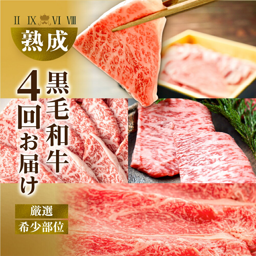 【ふるさと納税】黒毛和牛 みかわ牛 希少部位 全4回 定期便 A5 牛肉 肉 A4 国産 牛肉 送料無料 愛知県 豊橋市
