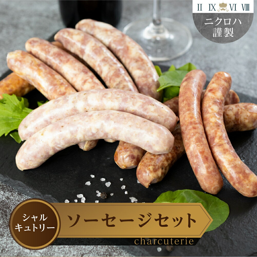 シャルキュトリー 世界のソーセージセット 送料無料 愛知県 豊橋市