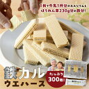 【ふるさと納税】業務用 元気!鉄カルウエハース 鉄分 カルシウム 鉄分不足 カルシウム不足 栄養食品 栄養補給 お菓子 骨元気 骨 美味しい お子様にも 愛知県...