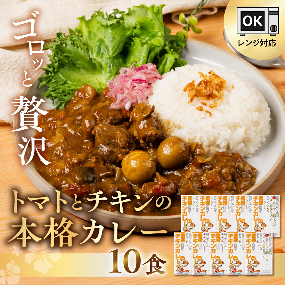 豊橋チキンカレー 10個セット カレー レトルトカレー 常温保存 備蓄 本格カレー 本格的 チキンカレー トマトカレー セット 詰め合わせ 常備 ご当地カレー 人気 常温 簡単 簡単調理 電子レンジ対応 レンジ キャンプ 時短 便利 夕飯 愛知県 豊橋市