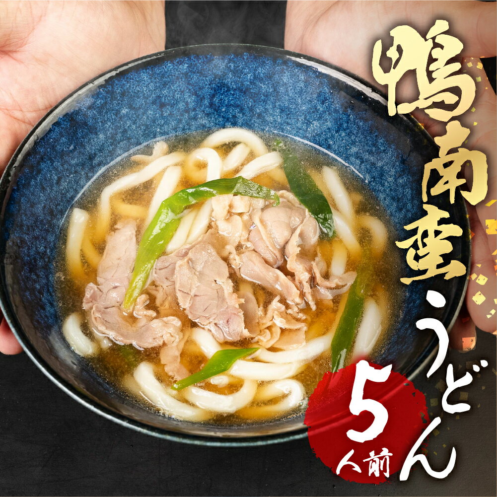 【ふるさと納税】豊橋産 あいち鴨 南蛮 うどん 5セット 約5人前 和風 惣菜 セット 簡単調理 麺 本格 肉うどん 鴨南蛮 鴨 鴨肉南蛮 南蛮うどん 豊橋市 送料無料のサムネイル