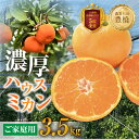 【ふるさと納税】 ≪先行予約≫ハウスミカン 家庭用 3.5kg 訳あり...(4)