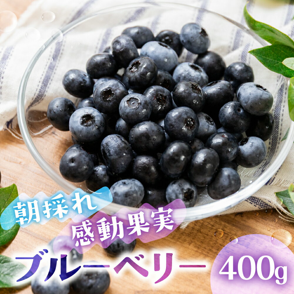 ≪先行予約 2026年発送≫ 生ブルーベリー 400g 6〜8月 贈答用 100g×4パック ブルーベリー 農園直送 愛知県 豊橋市