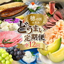 【ふるさと納税】豊橋 どうまい 定期便 全12回 餃子 / むき えび / うなぎ / メロン / ふぐ / 和牛 / 鴨鍋 / おでん 牛肉 定期 高評価 お楽しみ フルーツ 鰻 むきえび 冷凍 訳あり 海鮮 半年 12回 期間限定 数量限定 定期 12ヵ月 愛知県 豊橋市 送料無料 150000円