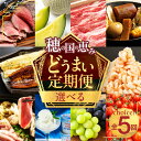 【ふるさと納税】穂の国のどうまい定期便 Aコース Bコース 贅沢 どうまい 定期便 選べる 全5回 全10回 鴨 むき海老 エビ 姫 牛 肉 フローズンヨーグルト うなぎトマト ローストビーフ メロン ブドウ おでん 鍋 定期 高評価 5回 10回 愛知県 豊橋市 送料無料 60000円 120000円