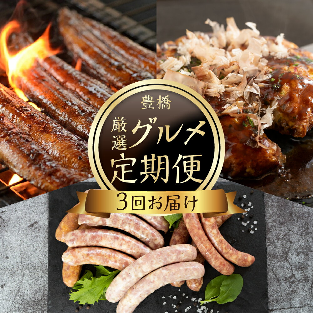 ＼メディアで紹介/ 厳選 グルメ 定期便 全3回 お好み焼き ソーセージ うなぎ てづくり 豚肉 豚玉 シャルキュトリー 豊橋うなぎ 国産 鰻 定期 3回 お楽しみ 人気 楽天限定 ふるさと納税 愛知県 豊橋市 送料無料