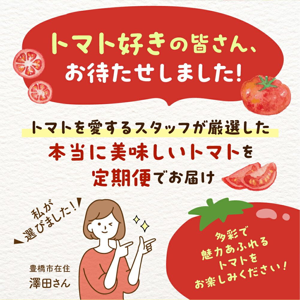 【ふるさと納税】トマト大好き定期便 6回お届け トマト ミニトマト フルーツトマト 食べ比べ 高糖度 プチぷよ ファーストトマト とまと あまえぎみ 旬 先行予約 期間限定 お楽しみ トマト定期便 定期 3回 3ヵ月 希少品種 人気 楽天限定 ふるさと納税 愛知県 豊橋市 送料無料