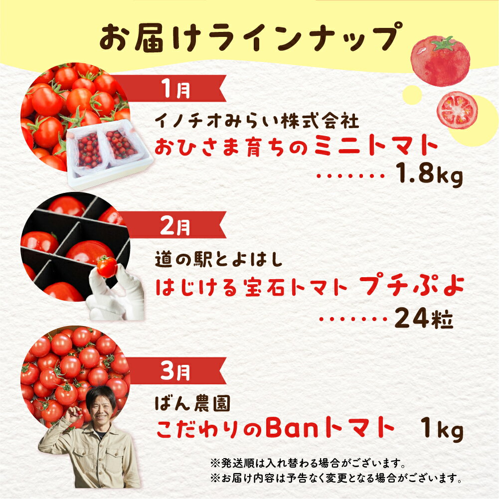 【ふるさと納税】トマト大好き定期便 6回お届け トマト ミニトマト フルーツトマト 食べ比べ 高糖度 プチぷよ ファーストトマト とまと あまえぎみ 旬 先行予約 期間限定 お楽しみ トマト定期便 定期 3回 3ヵ月 希少品種 人気 楽天限定 ふるさと納税 愛知県 豊橋市 送料無料