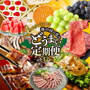 【ふるさと納税】豊橋 どうまい 定期便 プレミアム 全12回 鴨 / せとか / いちご / スイーツ / お好み焼き / スイカ / うなぎ / チキン / ...