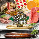 【ふるさと納税】豊橋 どうまい 定期便 プレミアム 全6回 鴨 鍋 / いちご / うなぎ / みかん / ステーキ / 和牛 牛肉 定期 高評価 お楽しみ 鴨...