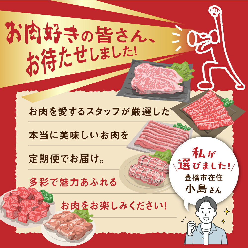 【ふるさと納税】お肉大好き 定期便 選べる ~6回 お届け サーロイン ステーキ ハンバーグ ローストビーフ 牛肉 しゃぶしゃぶ とんてき 牛トロ 肉トロ フレーク ユッケ 定期便 定期 3回 3ヵ月 6カ月 希少 人気 楽天限定 どうまい 愛知県 豊橋市 送料無料　50000円 100000円