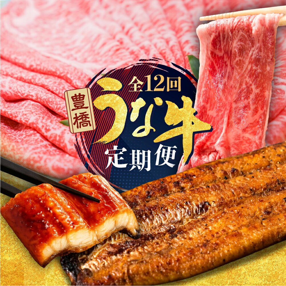 幻の うなぎ & 牛肉 定期便 回数が選べる 3回 6回 12回 お届け 定期便 2尾 牛 肩ロース しゃぶしゃぶ 肉 熟成 タレ付き 山椒付き 毎月お届け 厳選 簡易包装 鰻 ウナギ 幻 希少 鰻 蒲焼き 長蒲焼 最高級 土用丑の日 ギフト 冷凍 丑の日 簡単調理