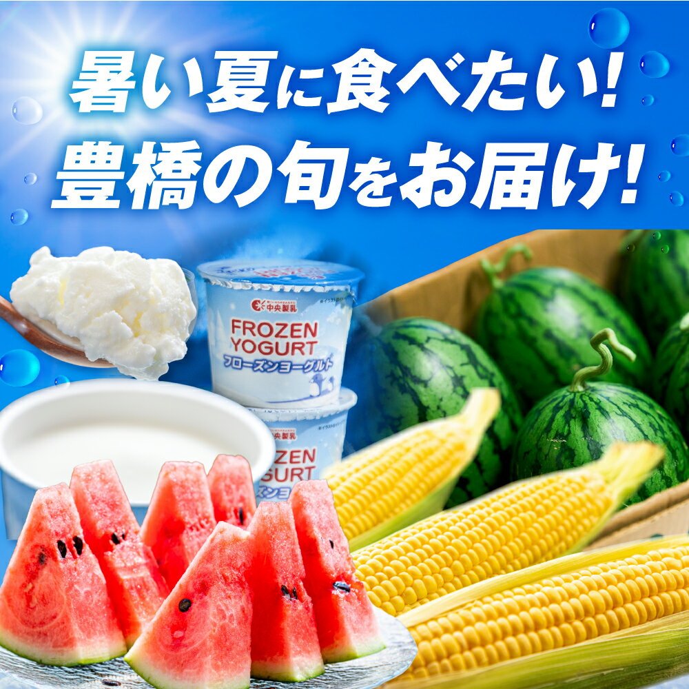 【ふるさと納税】どうまい 夏の味覚 定期便 全3回 すいか / とうもろこし / アイスクリーム / とうもろこし ゴールドラッシュ 高糖度 朝採れ スイカ 大玉スイカ 天伯スイカ フローズンヨーグルト フロヨー 期間限定 数量限定 愛知県 豊橋市 送料無料 35000円