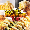 【ふるさと納税】こだわり餃子定期便 全3回 定期便 餃子 ぎょうざ ギョウザ おつまみ 晩酌 毎日の食事に 白米によくあう お弁当 おかず 総菜 大容量 訳あり どうまい 愛知県 豊橋市 送料無料 3万円 焼き方レシピあり