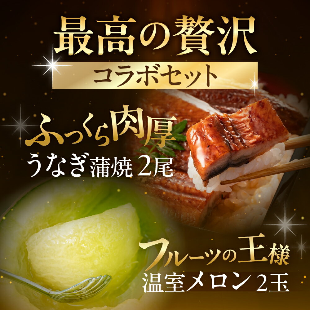 【ふるさと納税】国産うなぎ & 温室メロン セット うなぎ 訳あり 蒲焼 2尾 メロン 2玉 ウナギ 鰻 蒲焼き 土用丑の日 丑の日 簡単調理 惣菜 フルーツ くだもの unagi 暑さ 対策 贅沢 簡単調理 惣菜 デザート わけあり果物 愛知県 豊橋市