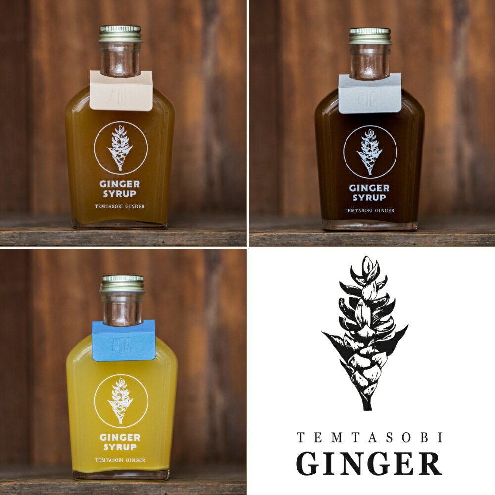 クラフトジンジャーシロップ 3本セット