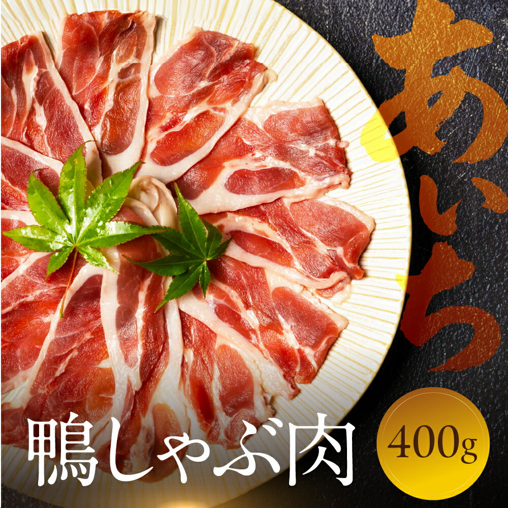【ふるさと納税】鴨肉のしゃぶしゃぶ 400g あいち鴨肉 堪能 スライス肉 かも ご当地 国産 鴨 合鴨 鍋料理 鍋 もつ鍋 牛もつ を取り扱う 人気 鳥市精肉...