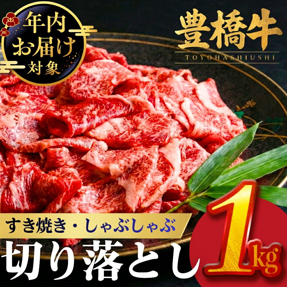 年内発送 切り落とし 1kg 赤身 豊橋牛 国産牛 すきやき 牛肉 肉 牛 国産牛 牛肉 肉 焼肉 すき焼き 楽天限定 不揃い 真空パック 小分け パック 200g 冷凍 豊橋市 一万円 10000円