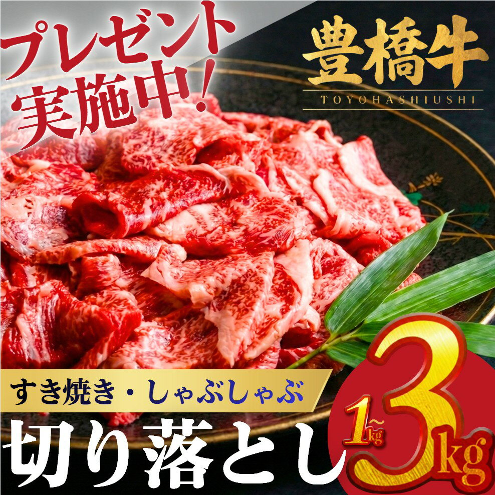 【ふるさと納税】ランキング入り 切り落とし 1kg~ 赤身 すき焼き しゃぶしゃぶ 豊橋牛 国産牛 すきや...