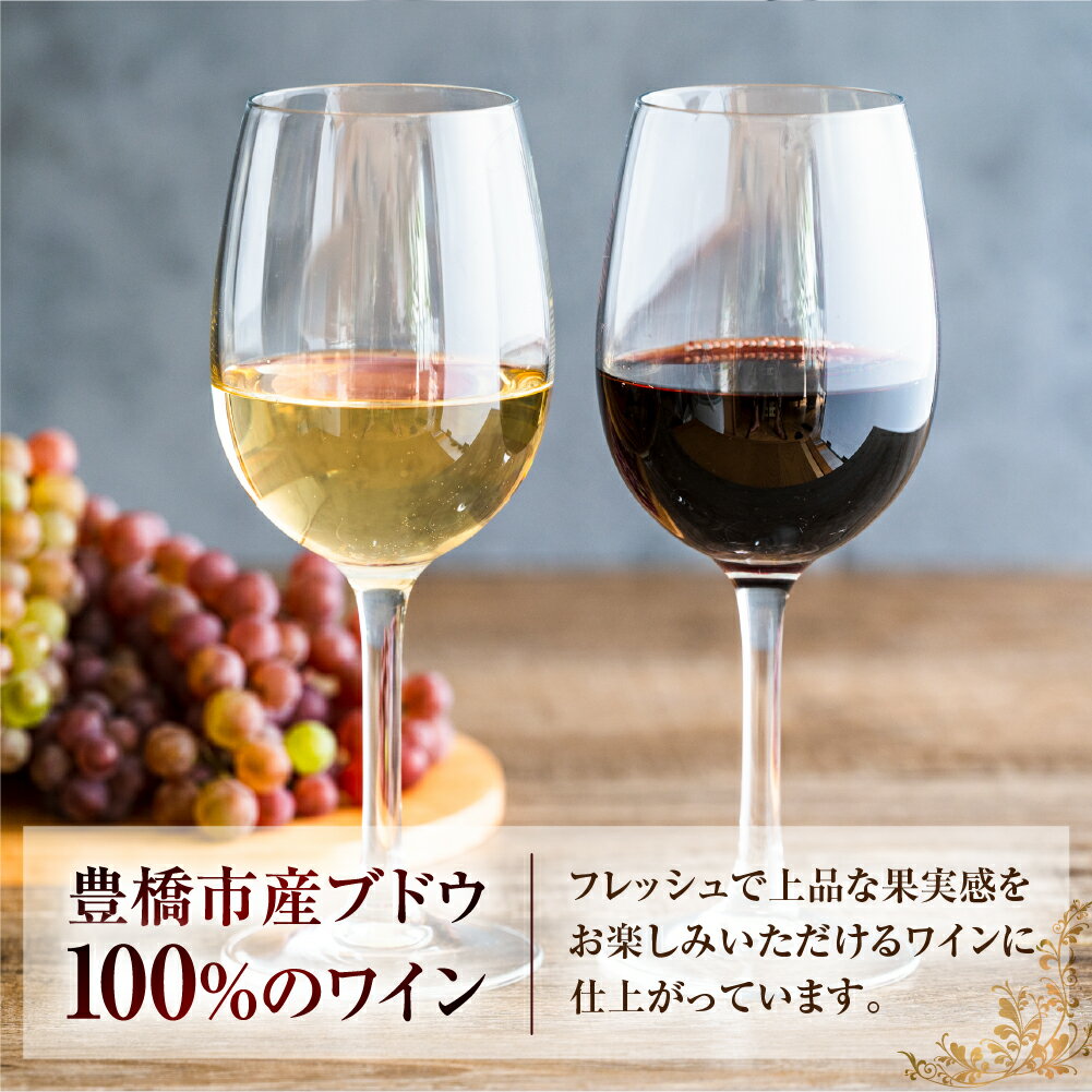 【ふるさと納税】Stein シュタイン ワイン 赤 1本 石巻産葡萄100％使用 赤ワイン 国産 赤