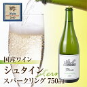 【ふるさと納税】Stein シュタイン スパークリングワイン 1本 石巻産葡萄100%使用 ワイン 国産 スパークリング ワイン