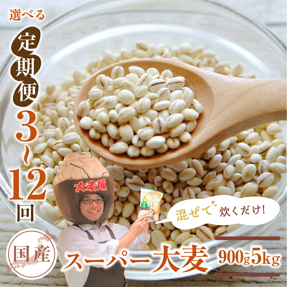 国産スーパー 大麦 1.8kg [定期便が選べる 3回〜12回]食物繊維 たっぷり 麦 麦ごはん 大麦 ビューファイバー 雑穀米 健康 定期便 麦 3回 6回 12回 愛知県 豊橋市