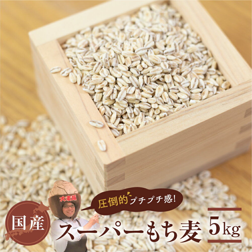国産スーパー もち麦 毎日食べたいたっぷり 5kg 食物繊維 たっぷり もちむぎ 雑穀米 健康 愛知県 豊橋市
