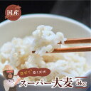 31位! 口コミ数「5件」評価「4.4」国産スーパー 大麦 毎日食べたいたっぷり 5kg 食物繊維 たっぷり 麦 麦ごはん 大麦 ビューファイバー 雑穀米 健康 愛知県 豊橋市